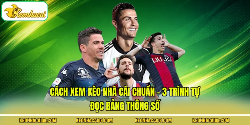 Cách Xem Kèo Nhà Cái Chuẩn - 3 Trình Tự Đọc Bảng Thông Số 1 Cách Xem Kèo Nhà Cái Chuẩn - 3 Trình Tự Đọc Bảng Thông Số