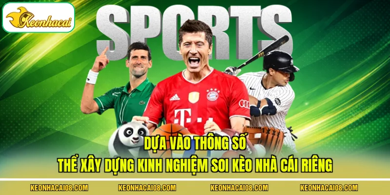 Dựa vào thông số thể xây dựng kinh nghiệm soi kèo nhà cái riêng